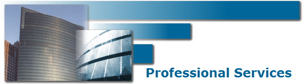 Professional Services